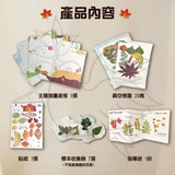 MIROLA KIDS - DIY繪本樹葉貼畫