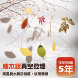 MIROLA KIDS - DIY繪本樹葉貼畫