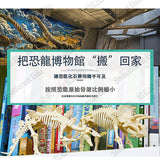 JoanMiro/JarMelo - 挖掘恐龍化石(翼龍)