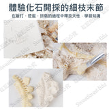 JoanMiro/JarMelo - 挖掘恐龍化石(翼龍)