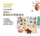 JoanMiro/JarMelo - 蜂蜜蠟筆12色-生果造型